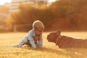 Illuminated by,, sunlight. Cute little boy ,is with dog on the field photo