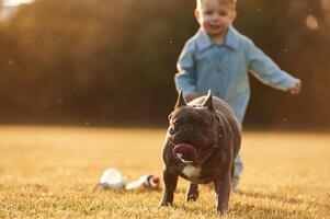 Running, together. Cute little boy is with dog on the field photo