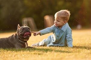 Sitting on, the, ground. Cute little boy is with dog on the field photo