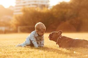 Illuminated by sunlight. Cute,, little ,boy is with dog on the field photo