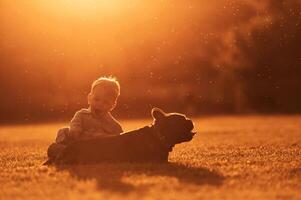 Illuminated by sunlight. Cute little boy,, is, with dog on the field photo