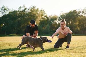 Active time spending, with rubber toy.,, Man and woman are with dog on the field photo