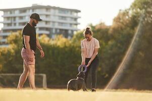 Playing with a rubber ,,toy. Man and woman are with dog on the field photo