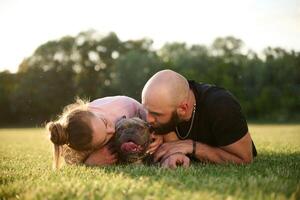 Front ,view, taking, care of animal. Man and woman are with dog on the field photo