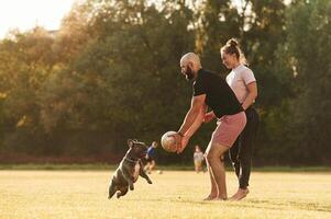Using ,soccer ball, playing.. Man and woman are with dog on the field photo