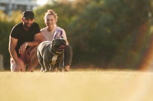 Having a rest, sitting. Man and woman are ,with dog on the field photo
