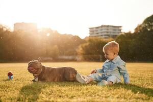 Cute little boy is with dog ,on the field photo