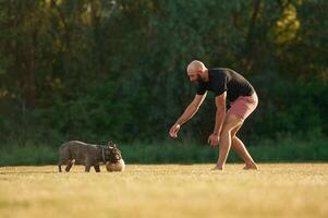 Man is playing with his, dog ,with soccer ball on the summer field photo