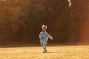 Little boy is on the summer field. photo