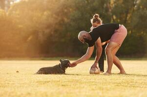 Using soccer ball, playing. Man and woman, are with dog on the field photo