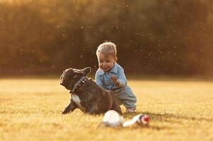 Cute little boy is with dog on the field. photo