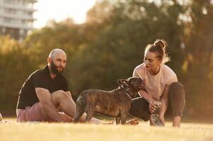 Man, and ,,woman are with dog on the field photo