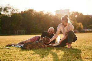 Drinking, the water. Man and woman are with dog on the field photo