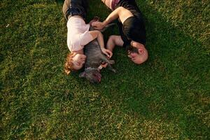 Top view, lying, on the grass. Man and woman are with dog on the field photo