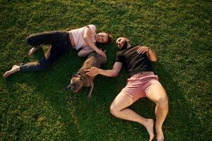 Top,, view, lying on the grass. Man and woman are with dog on the field photo