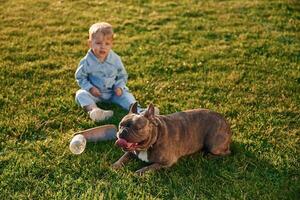 Sitting, on the ground. Cute little boy is with dog on the field photo