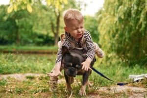 Riding the animal,, sitting, on, it. Cute little boy is with French Bulldog outdoors in the park photo