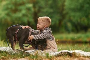 Cute, little boy is with French Bulldog outdoors in the park photo