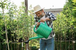 Green, watering ,,can is in hands. Senior gardener is at work at daytime photo