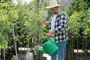 With ,watering can. Senior gardener is at work at daytime photo