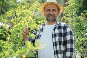 Enjoying, the job. Senior gardener is at work at daytime photo