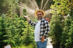 Automatic ,watering system behind. Senior gardener is at work at daytime photo