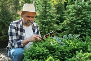 Using,, digital tablet, sitting. Senior gardener is at work at daytime photo