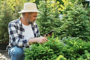 Using digital, tablet, sitting. Senior gardener is at work at daytime photo
