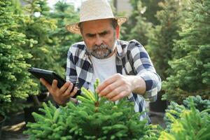 Using, digital tablet, sitting. Senior gardener is at work at daytime photo