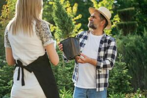 Taking, a plant in a pot. Woman and man are working in the garden together with plants photo