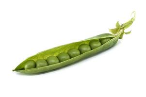 Close-up of an open pea pod revealing multiple, perfectly round green peas on white. photo