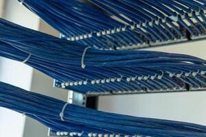 A large group of UTP cables, rack ethernet cables, patch panel UTP cables in a server rack in a data center room photo