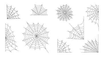 Spider web linear collection. vector