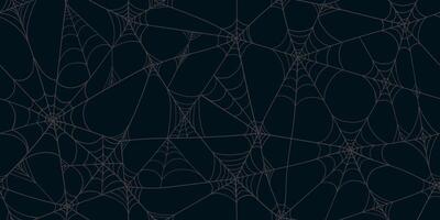 Halloween Pattern with Outline Scary Spider Web Frame in Hand Drawn Style. Doodle arachnid web perfect for cards, party invitations, web vector