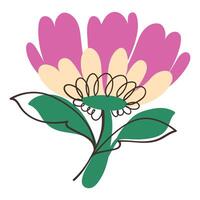 Lovely Pink Flower with Simple Sketch Line Branches. Colorful plant with cute line sketches of branches isolated on white background. Nature herb perfect for invitations, cards, posters, holidays vector
