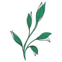 Decorative Green Branch with Simple Brush Line Decorations. Colorful foliage with cute line sketches of branches isolated on white background. Nature herb perfect for invitations, cards, posters vector