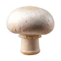 High-Resolution White Button Mushroom on Transparent Background png