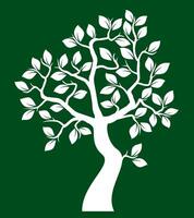 Shape of white Tree with Leaves on green background. outline Illustration. vector