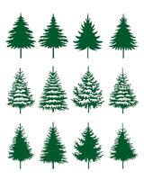 Collection green Spruce Trees. Winter season design elements and simply pictogram. Isolated Christmas Tree Icons and Illustration. vector