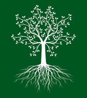 Shape of white Tree with Leaves and Roots on green background. outline Illustration. vector