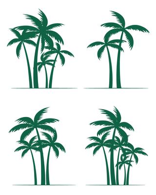 Set Green Palm Trees isolated. Illustration.