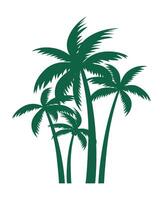 Set Green Palm Trees isolated. vector