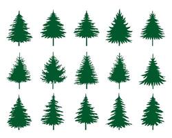 Green Spruce Trees. Winter season design elements and simply pictogram. Isolated Christmas Tree Icons and Illustration. vector