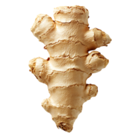 , fresh ginger root with natural wrinkles Recipe and cooking blogs Meal prep and food delivery content Food product packaging and labels png