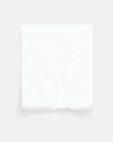 Torn paper edges. Ripped paper texture. Paper tag. White paper sheet for background. illustration. vector