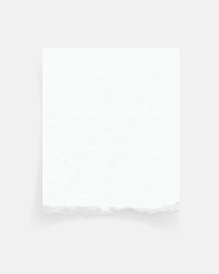 Torn paper edges. Ripped paper texture. Paper tag. White paper sheet for background. illustration.