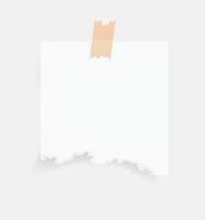 Paper note and tape. Torn paper sheet sticker on white background. White paper memo vector