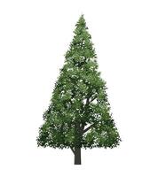 Big tree isolated on white . Landscape object for outdoor graphic, architecture drawing, elements for environment and gardening. illustration. vector