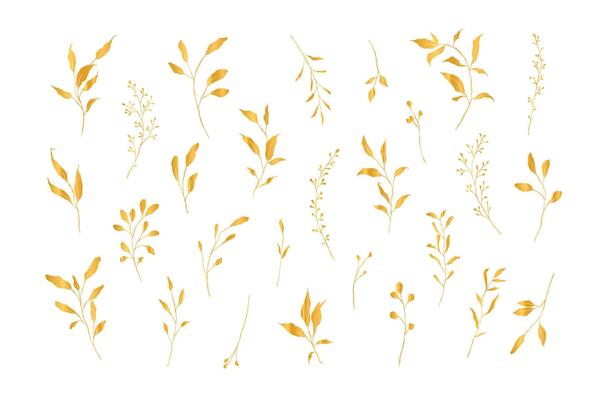 Botanical line art silhouette gold leaves hand drawn pencil sketches isolated