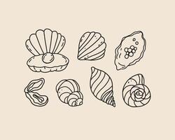 Set of line art seashell. Coquette whimsical hand drawn doodle sketch of sea shell. Beach ocean summer drawing outline illustration vector